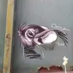 Андрей Druce Boxcar – Шиншилла 16