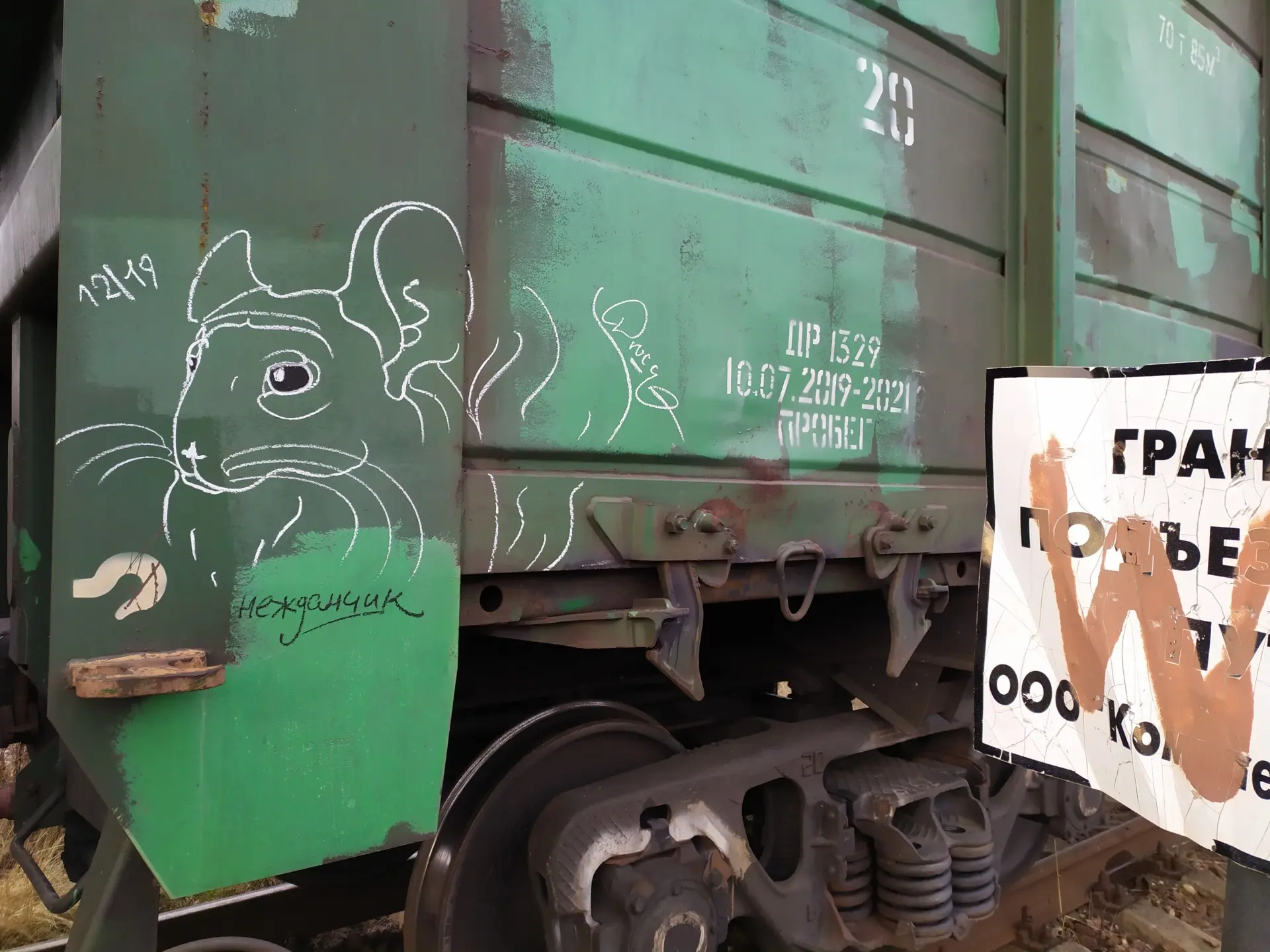 Шиншилла 18 Андрей Druce Boxcar – Шиншилла 18