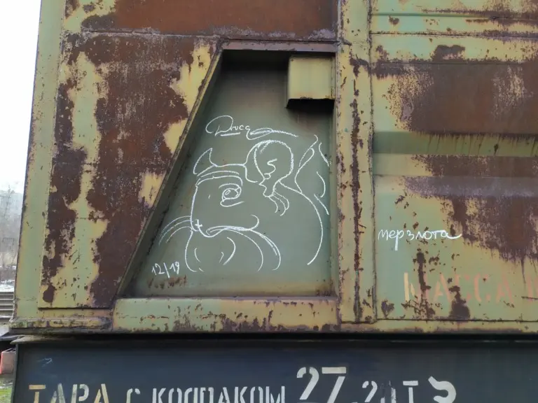 Андрей Druce Boxcar – Шиншилла 19