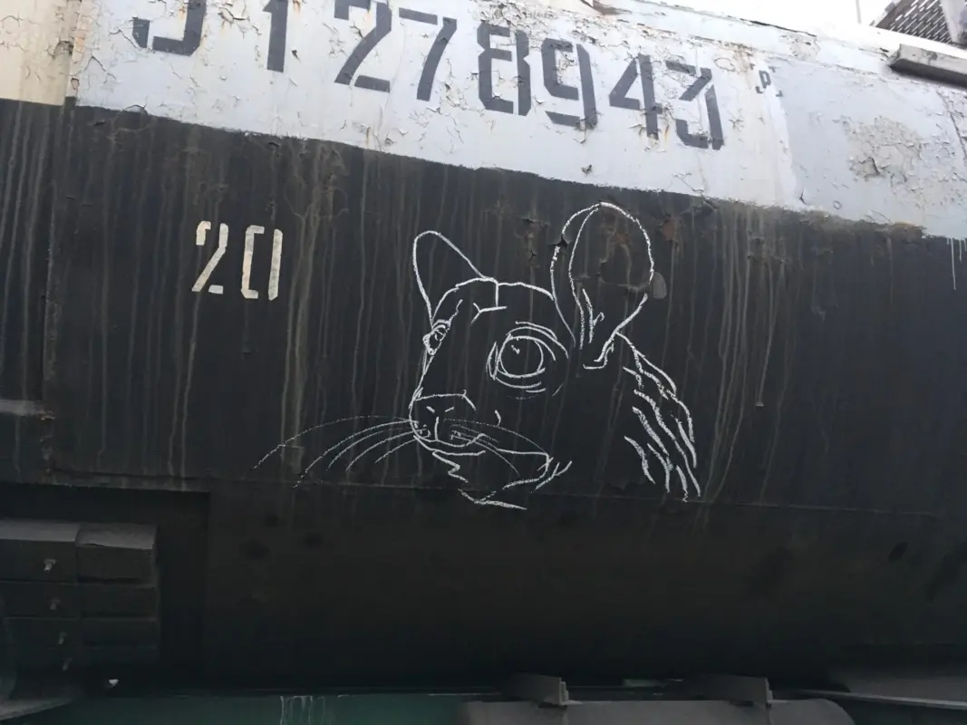 Андрей Druce Boxcar – Шиншилла 2