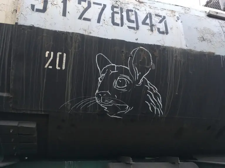 Андрей Druce Boxcar – Шиншилла 2