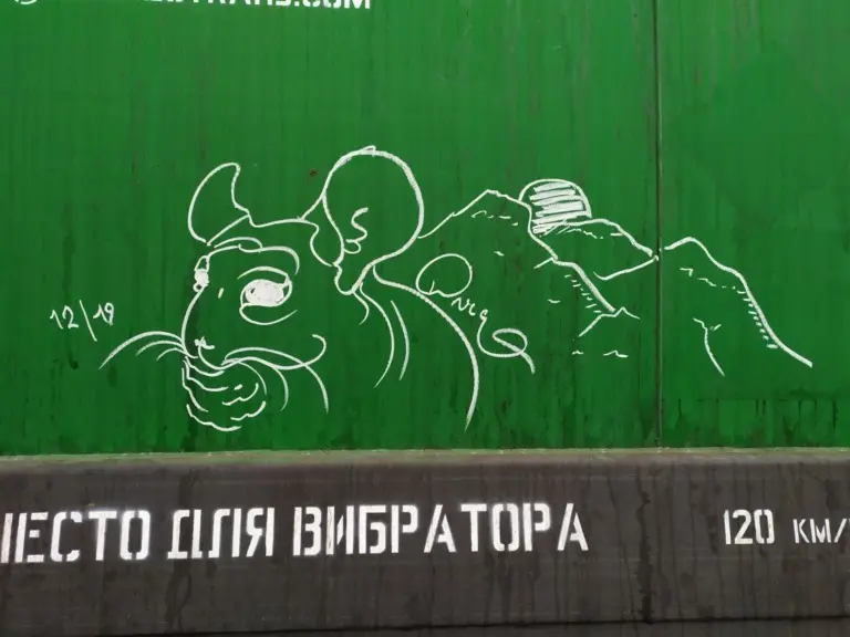 Андрей Druce Boxcar – Шиншилла 20