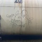 Андрей Druce Boxcar – Шиншилла 21