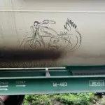 Андрей Druce Boxcar – Шиншилла 24