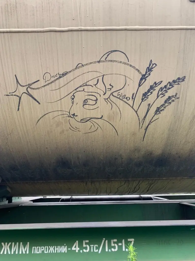 Андрей Druce Boxcar – Шиншилла 25