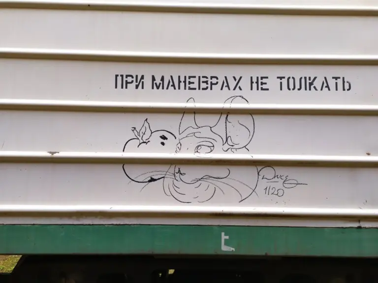 Андрей Druce Boxcar – Шиншилла 27