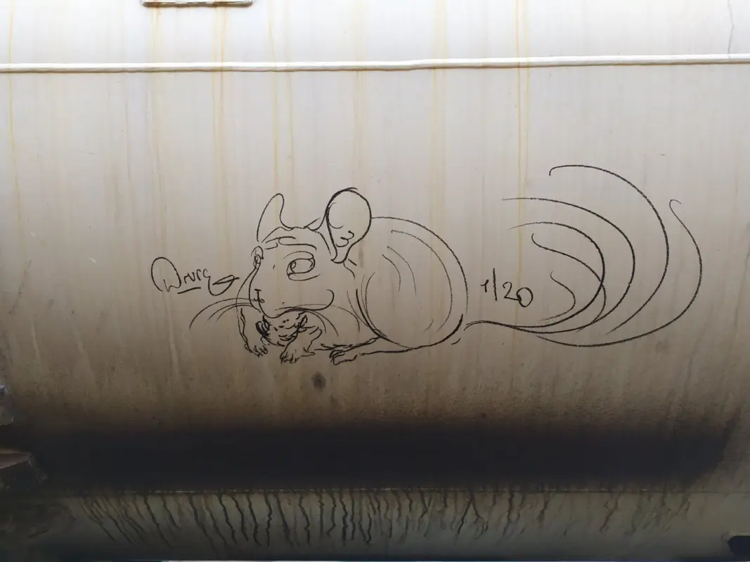 Андрей Druce Boxcar – Шиншилла 28