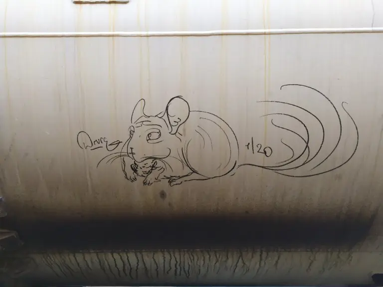 Андрей Druce Boxcar – Шиншилла 28