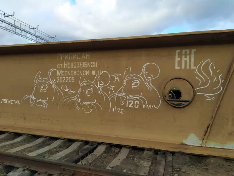 Андрей Druce Boxcar – Шиншилла 29