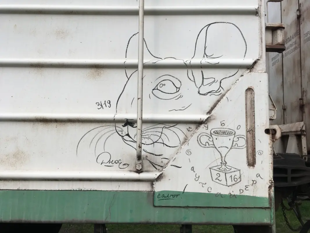 Андрей Druce Boxcar – Шиншилла 3