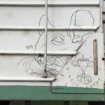 Андрей Druce Boxcar – Шиншилла 3