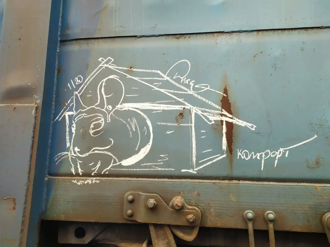 Андрей Druce Boxcar – Шиншилла 30