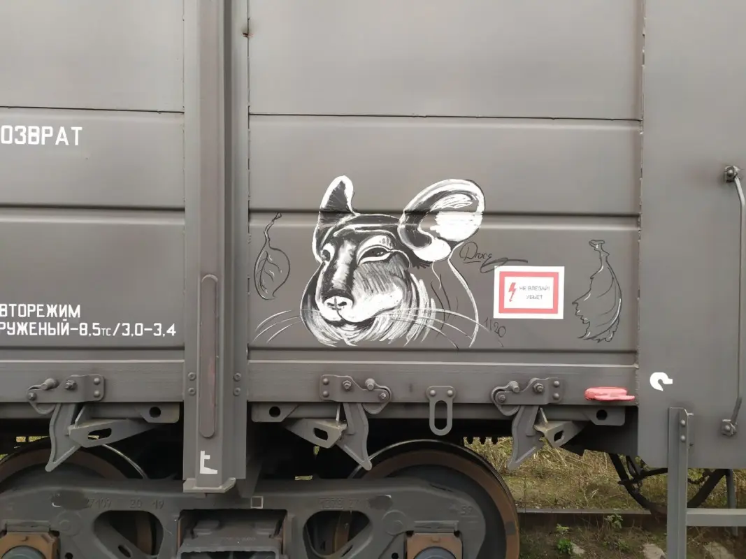 Андрей Druce Boxcar – Шиншилла 31