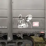 Андрей Druce Boxcar – Шиншилла 31