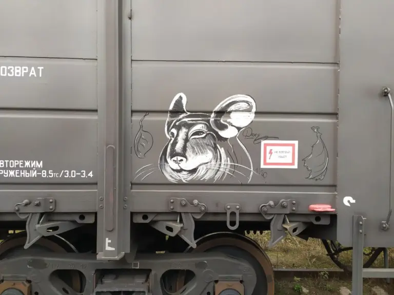 Андрей Druce Boxcar – Шиншилла 31