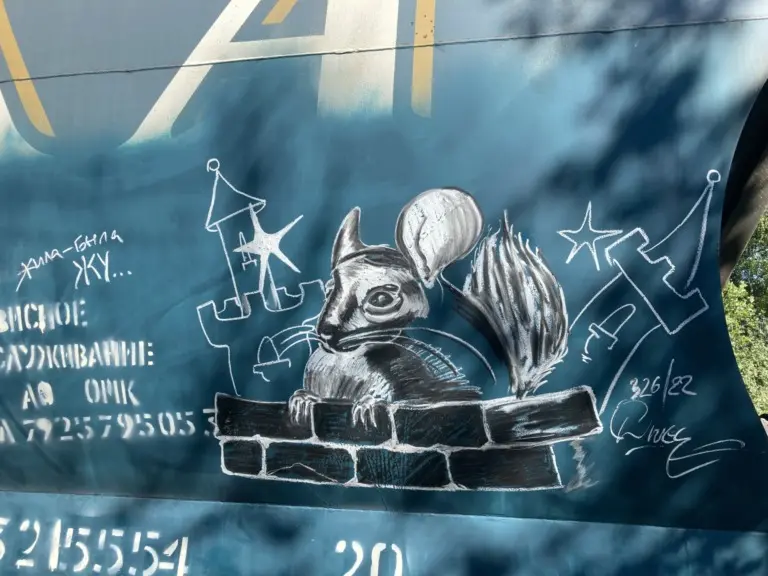 Андрей Druce Boxcar – Шиншилла 32