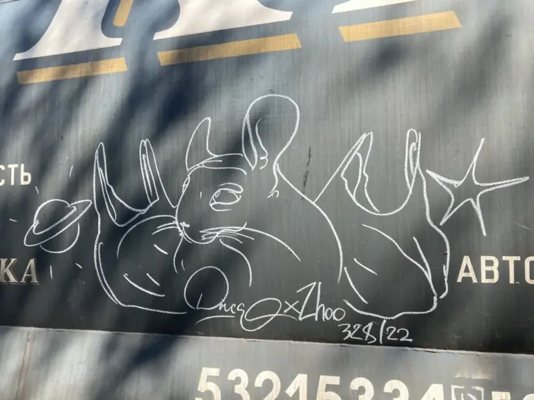 Андрей Druce Boxcar – Шиншилла 33