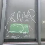 Андрей Druce Boxcar – Шиншилла 34