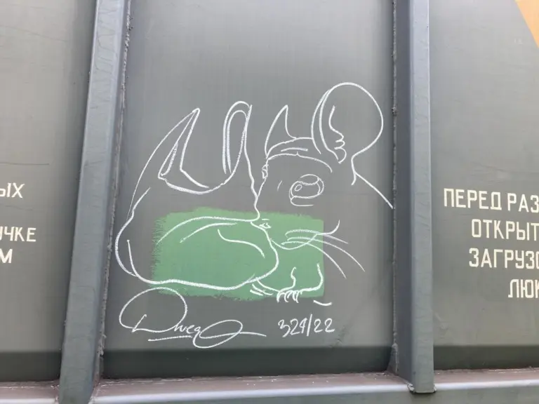 Андрей Druce Boxcar – Шиншилла 34