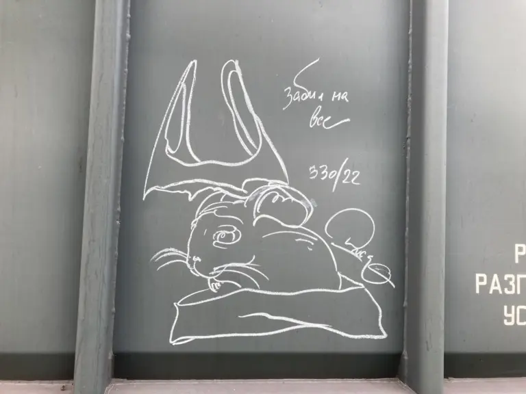 Андрей Druce Boxcar – Шиншилла 35