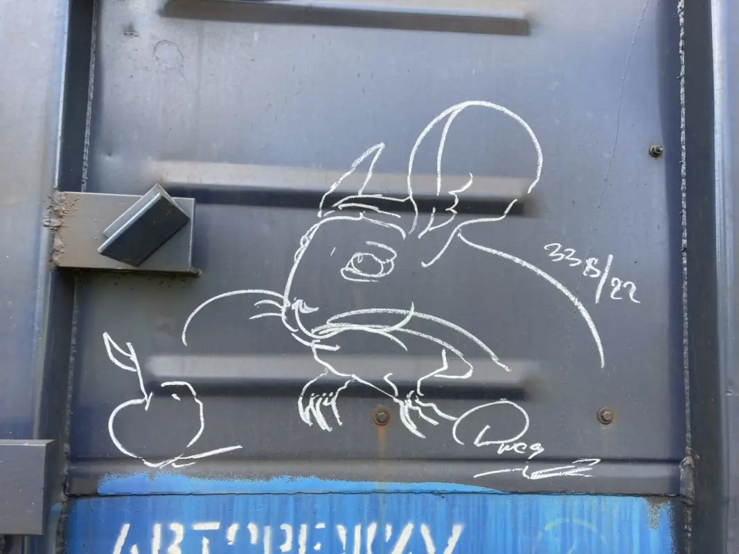 Андрей Druce Boxcar – Шиншилла 36