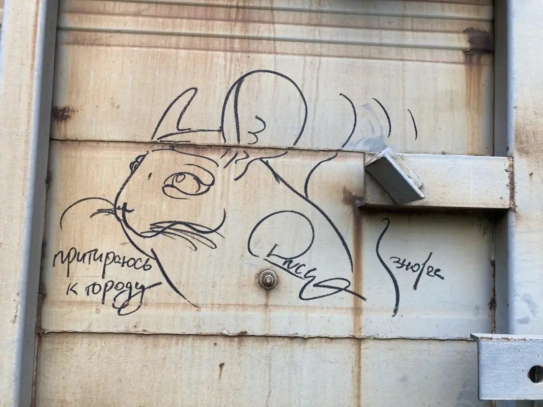 Андрей Druce Boxcar – Шиншилла 37