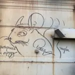 Андрей Druce Boxcar – Шиншилла 37