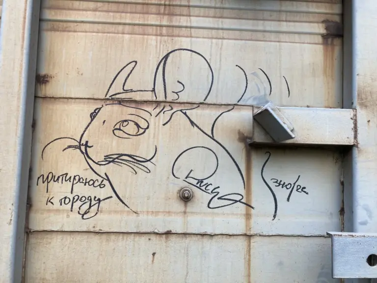 Андрей Druce Boxcar – Шиншилла 37