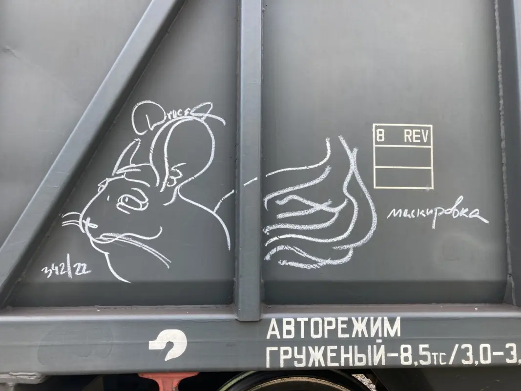 Андрей Druce Boxcar – Шиншилла 38