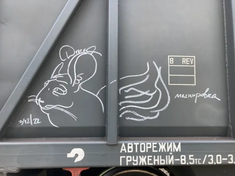 Андрей Druce Boxcar – Шиншилла 38