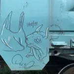 Андрей Druce Boxcar – Шиншилла 39