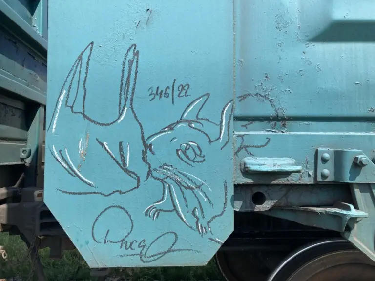 Андрей Druce Boxcar – Шиншилла 39