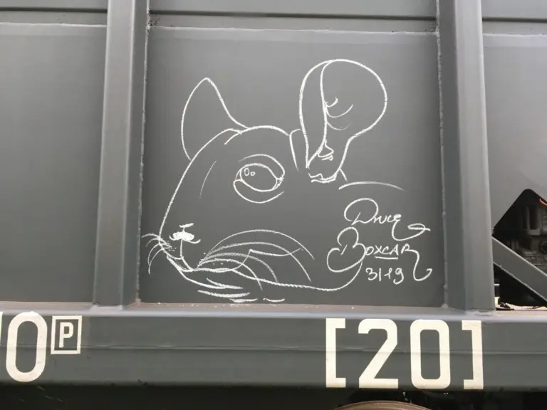 Андрей Druce Boxcar – Шиншилла 4