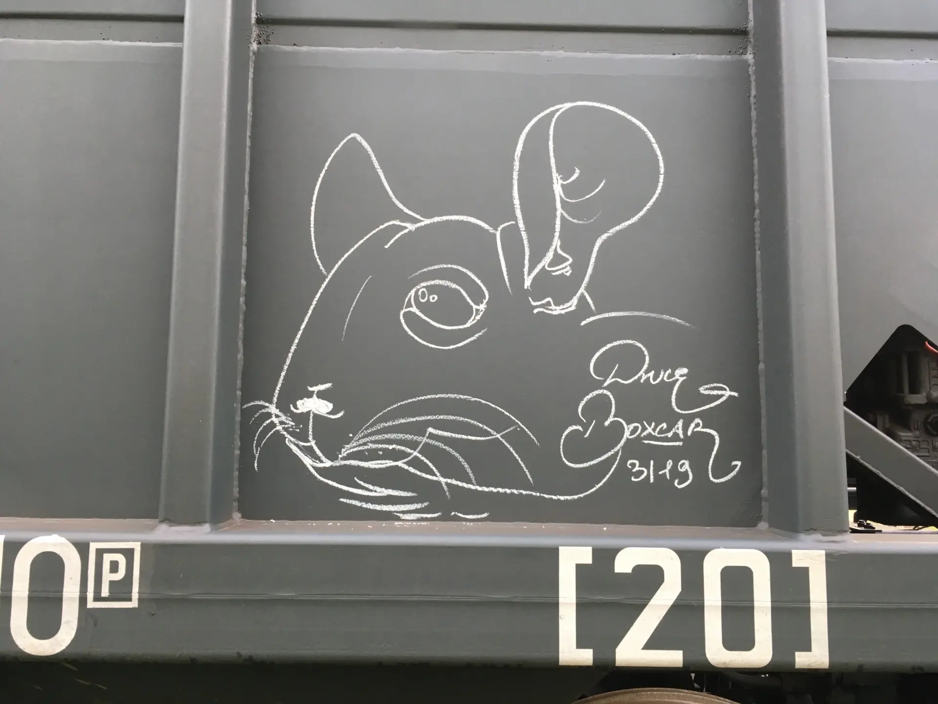 Шиншилла 4 Андрей Druce Boxcar – Шиншилла 4