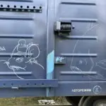 Андрей Druce Boxcar – Шиншилла 41