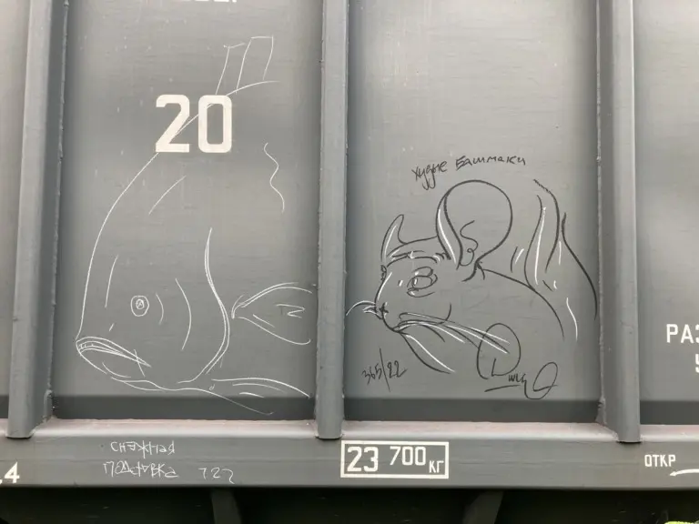 Андрей Druce Boxcar – Шиншилла 43