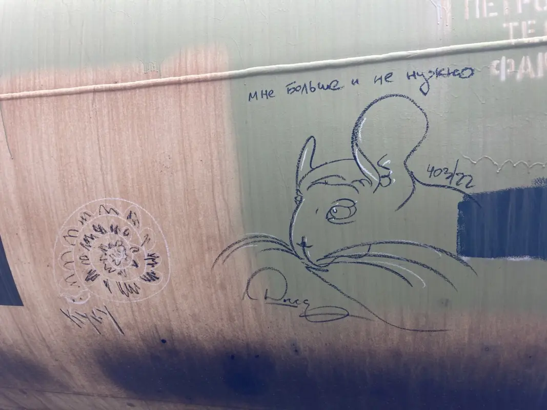 Андрей Druce Boxcar – Шиншилла 45