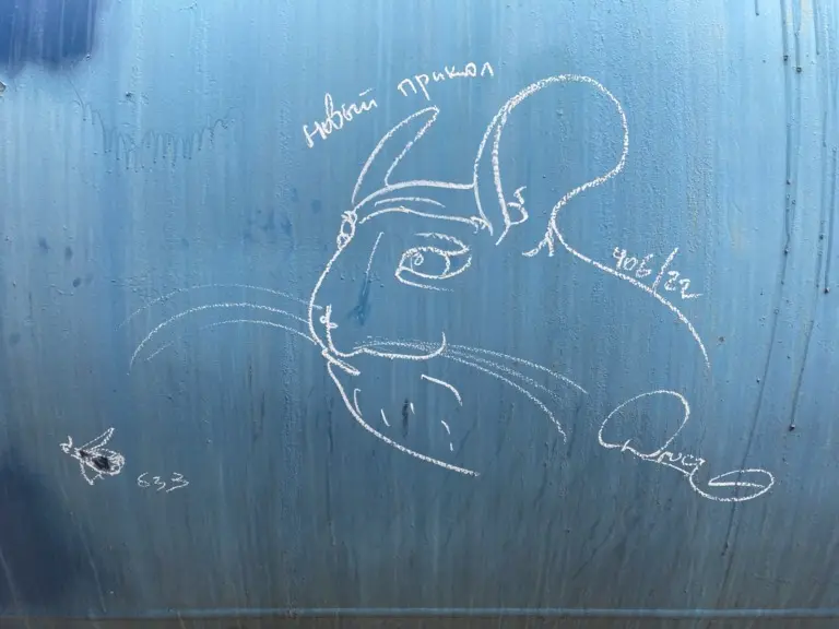 Андрей Druce Boxcar – Шиншилла 46