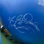 Андрей Druce Boxcar – Шиншилла 47