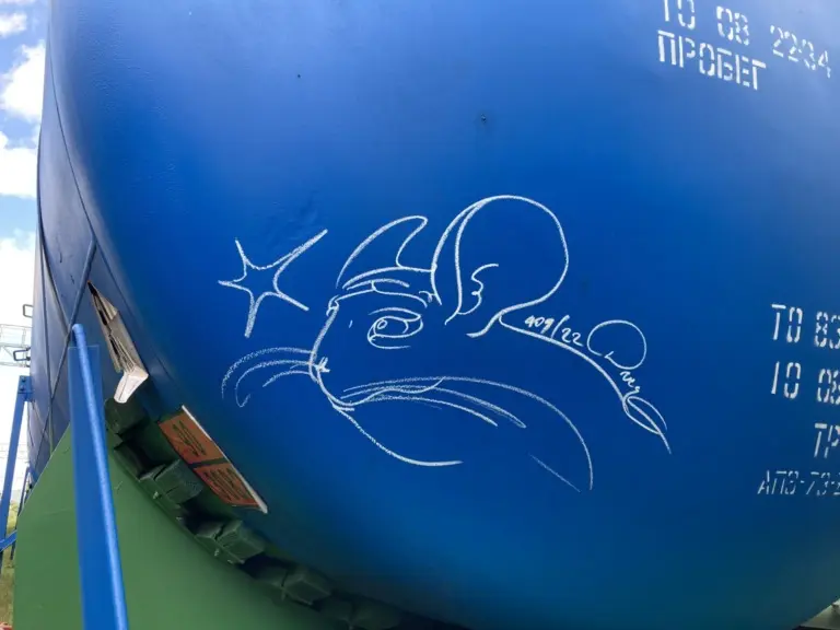 Андрей Druce Boxcar – Шиншилла 47