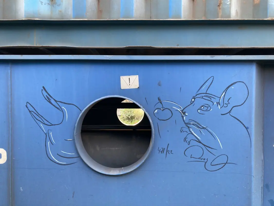 Андрей Druce Boxcar – Шиншилла 49