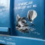 Андрей Druce Boxcar – Шиншилла 5