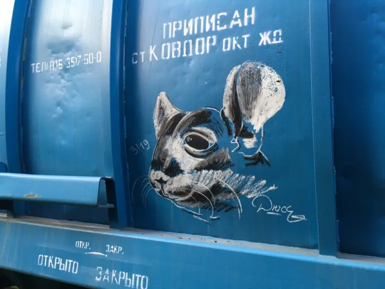 Андрей Druce Boxcar – Шиншилла 5