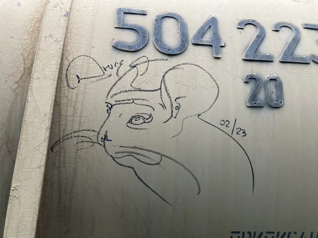 Андрей Druce Boxcar – Шиншилла 50