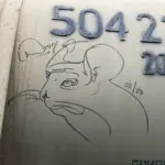 Андрей Druce Boxcar – Шиншилла 50