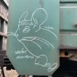 Андрей Druce Boxcar – Шиншилла 51