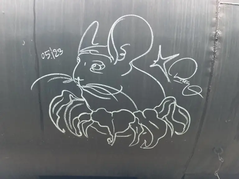 Андрей Druce Boxcar – Шиншилла 52