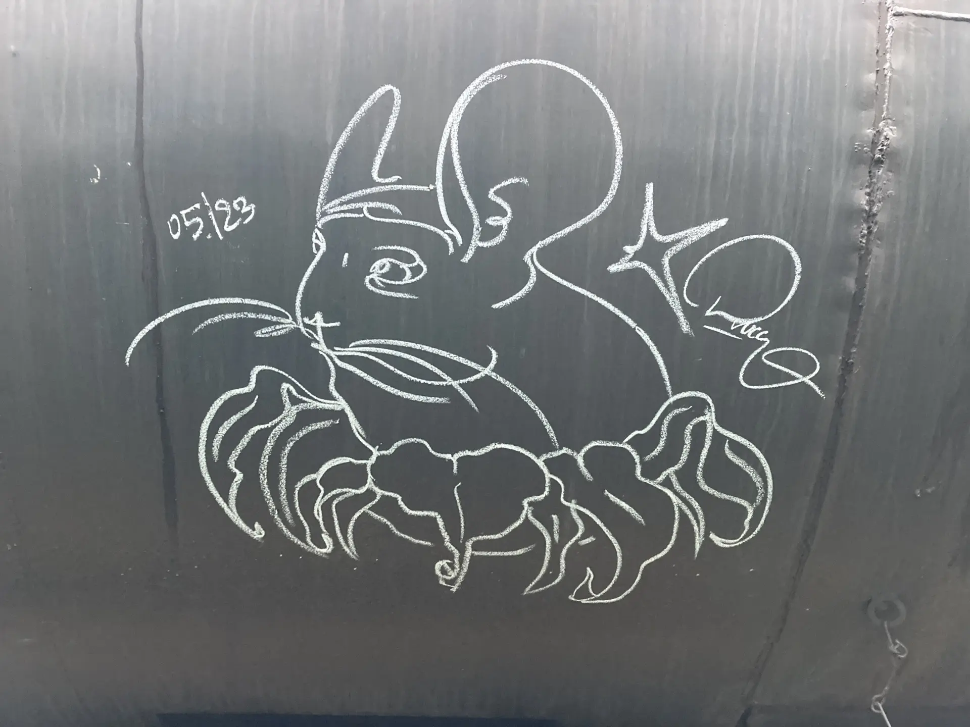 Шиншилла 52 Андрей Druce Boxcar – Шиншилла 52