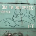 Андрей Druce Boxcar – Шиншилла 53