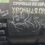 Андрей Druce Boxcar – Шиншилла 54